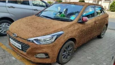 Indian Cars with Cow Dung Coats 15
