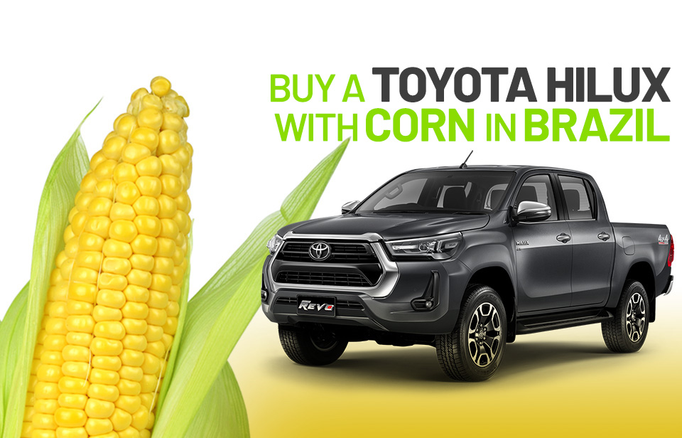 Toyota corn
