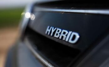 hybrid stock